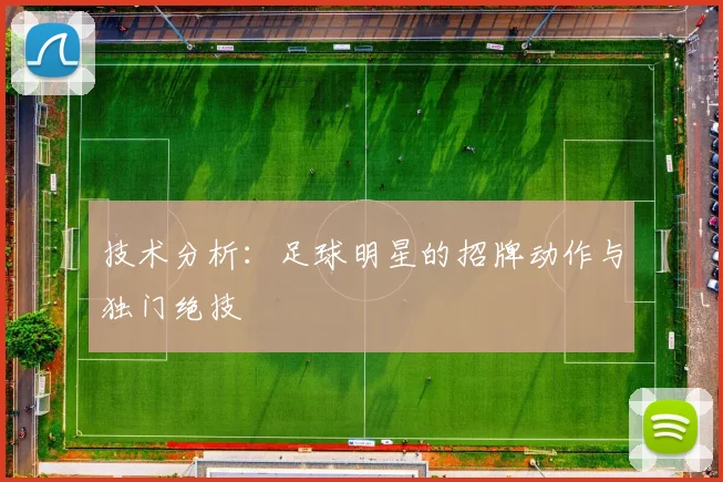 技术分析：足球明星的招牌动作与独门绝技
