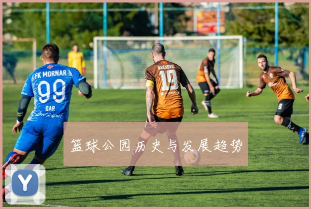 篮球公园历史与发展趋势